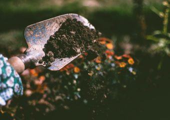 dirt